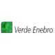 LYRA REMBRANDT AQUARELL VERDE G