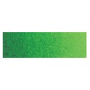 ACUARELA ARTIST.5 ML VERDE HOOKER