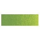 Cotman MG verde vej