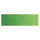 Cotman 8 ml verde Hook cl