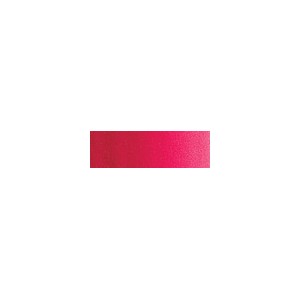OLEO ARTIST 37 ml aliz carm