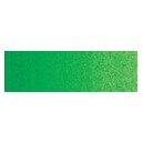 OLEO ARTIST 37 ml verde per