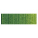 OLEO ARTIST 37 ml verde veji