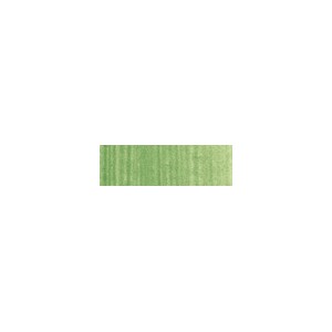 OLEO ARTIST 37 ml tierra verde