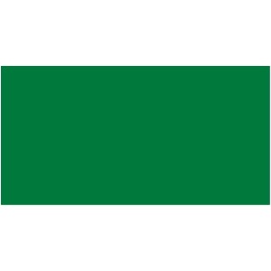 PREMIUM COLOR 60 ML. 013-VERDE BÁSICO