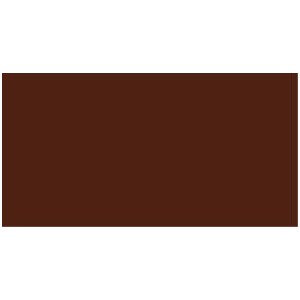PREMIUM COLOR 60 ML. 018-SEPIA
